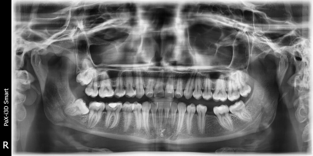 whatsapp image 2026 02 22 at 22.46.23 (1)