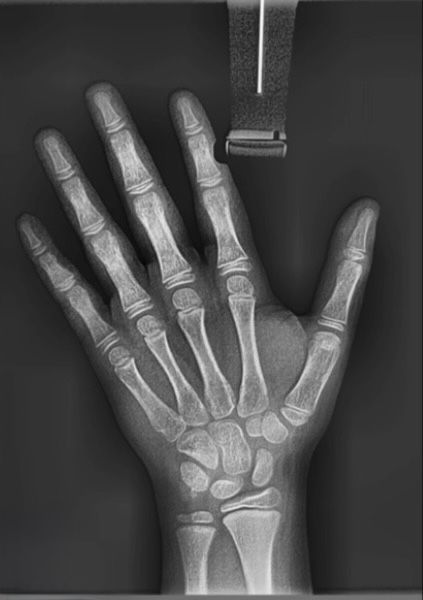 whatsapp image 2026 02 22 at 22.46.23 (2)