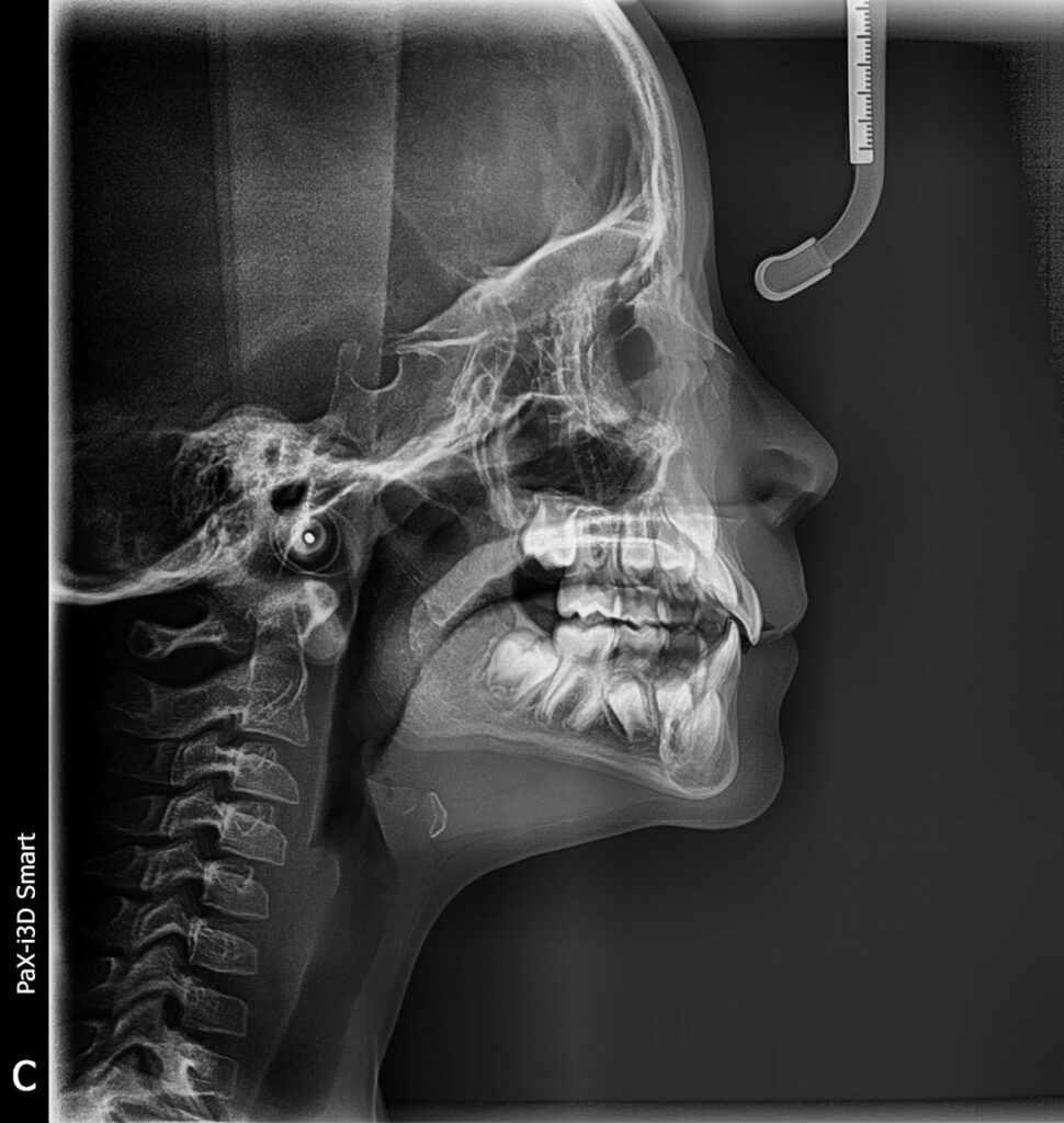 whatsapp image 2026 02 22 at 22.46.23