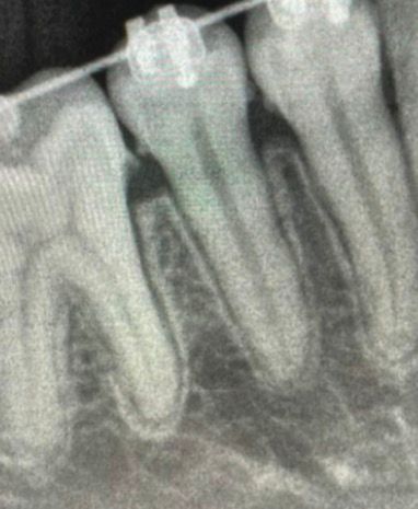 whatsapp image 2026 02 22 at 22.55.18